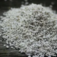 پرلیت درجه یک|خدمات باغبانی و درختکاری|رضوانشهر, |دیوار