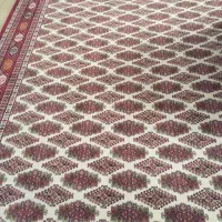 2 تخته فرش 1000 شانه 12 متری|فرش|گنبد کاووس, |دیوار