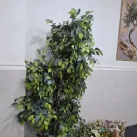 درختچه مصنوعی بدنه و برگ لمسی نزدیک ترین طبیعی