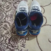 اسیکس چند جفت کفش اورجینال اصل 45|کیف، کفش، کمربند|مشهد, عباس‌آباد|دیوار