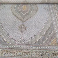 700شونه تراکم 2550درحدنو