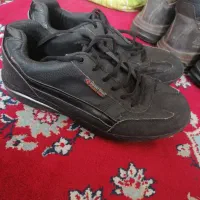 کفش|کیف، کفش، کمربند|بیرجند, |دیوار