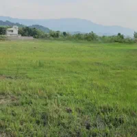 یک هکتار  ملک روستایی  همراه با بنا لاهیجان|فروش زمین و ملک کلنگی|لاهیجان, بوجایه|دیوار