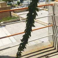 رهن خانه