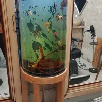 آکواریوم و تجهیزات