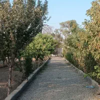باغ