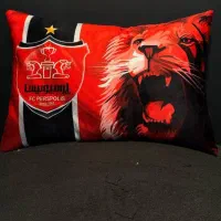 بالشت طرح دار