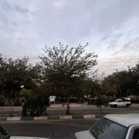 اجاره مغازه ۳۵ متری در شهرک ولیعصر جنوبی|اجارهٔ مغازه و غرفه|تهران, شهرک ولیعصر جنوبی|دیوار