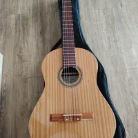گیتار رزونانس h320