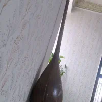 دوتار خوش صدا قدیمی نرم پنجه استاندارد|سازهای سنتی|باخزر, |دیوار