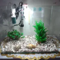 آکواریوم جلو خم حجم ۳۰لیتری