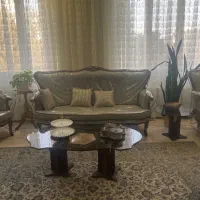 سالم در حد نو