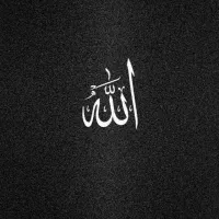 کفتر پیدا شده محدوده عبادی ۶۵