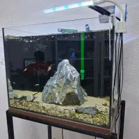 آکواریوم ریملس با پایه و لوازم جانبی