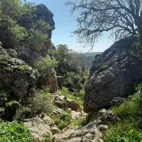 وام بانک مهر ۴ درصد ۱۲ ماه