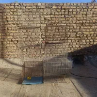 قفس پرنده