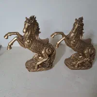 اسب وبز کوهی پلی استر