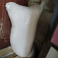 خوراک گاو