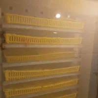 دستگاه جوجه کشی