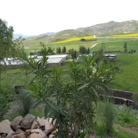 مزرعه-مرغداری-و-گلخانه-و-باغ-و-ویلا