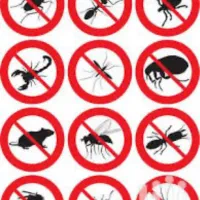 سمپاشی و موریانه زدایی ضمانتی (فروشگاه دشت بهشت )|خدمات نظافت|خرمآباد, |دیوار