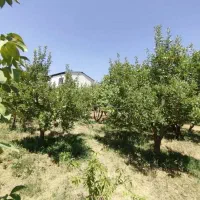 فروش زمین ۳۵۰ متر دور دیوار اماده ساخت جابان