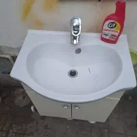 رو شوری با کمد وشیر احرمی