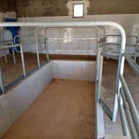 گاوداری شیری با پروانه وباغ|فروش دفتر صنعتی، کشاورزی، تجاری|خنجین, |دیوار