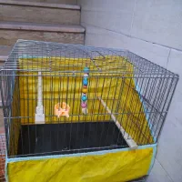 قفس پرنده|لوازم جانبی حیوانات|تهران, جیحون|دیوار
