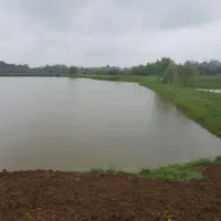 ۳۰ هکتار استخر ماهی کنار جاده ماسوله فروش متری ۷۵۰|فروش دفتر صنعتی، کشاورزی، تجاری|دماوند, دماوند|دیوار