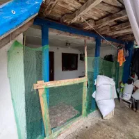 خانه قدیمی تالار قابل سکونت سند تک‌برگ|فروش خانه و ویلا|شفت, |دیوار