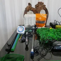 آکواریوم|ماهی|پرند, فاز ۶|دیوار