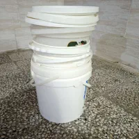 سطل