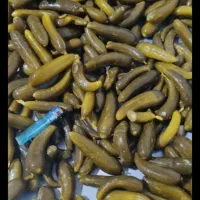 خیارشور ویژه ی بدون فیت .فیت کش با سرند سایز ۱۷