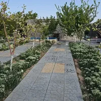 باغ لاکچری،با موقعیت خوب نزدیک جاده.خوش قیمت