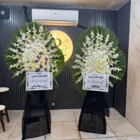 گل ختمی|گل و گیاه طبیعی|تهران, شهرک محلاتی|دیوار