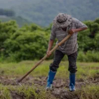 سرکارگرهسم کارگر آقا و خانم نیازداریم