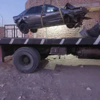 زانتیا تصادفی