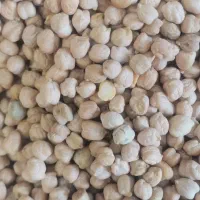 برنج کامفیروزی. زرشک|خوردنی و آشامیدنی|شیراز, شهرک گلها|دیوار