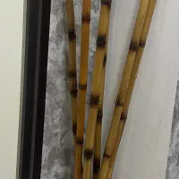 گلدان و چوب نی بامبو