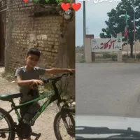 شهر چرخ اور سایز فروش ویژه|دوچرخه، اسکیت، اسکوتر|گرگان, |دیوار