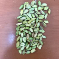 مغز پسته فروش عمده ای برای سوهان پزی و ...|خوردنی و آشامیدنی|قم, شاه احمد قاسم|دیوار