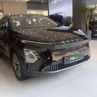 فونیکس برقی صفر اقساط/بدون ضامن