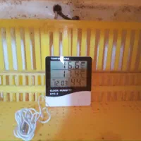 دستگاه جوجه کشی