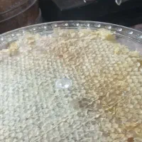 عسل|خوردنی و آشامیدنی|قره ضیاالدین, |دیوار