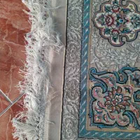 فرش ۶متری|فرش|تهران, بهداشت|دیوار