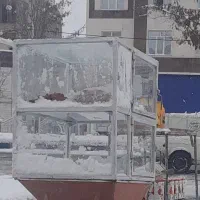 قفسه ی بامیه فروشی