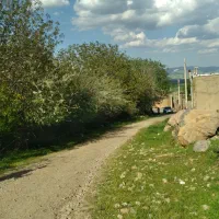 فروش باغ گردو درروستای چنارستان|فروش دفتر صنعتی، کشاورزی، تجاری|بروجرد, |دیوار