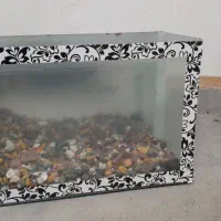 آکواربوم و کلاگیس