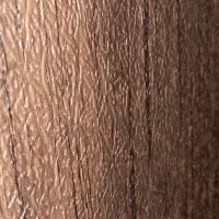 درب چوبی سرویس